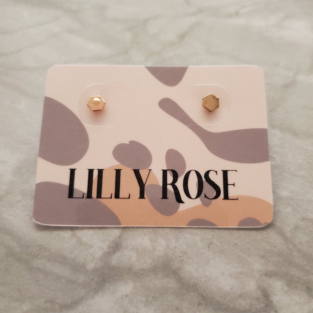 ✨ 3 for $15 Modern Minimalist Hexagon Bohemian Post Stud Earrings ✨